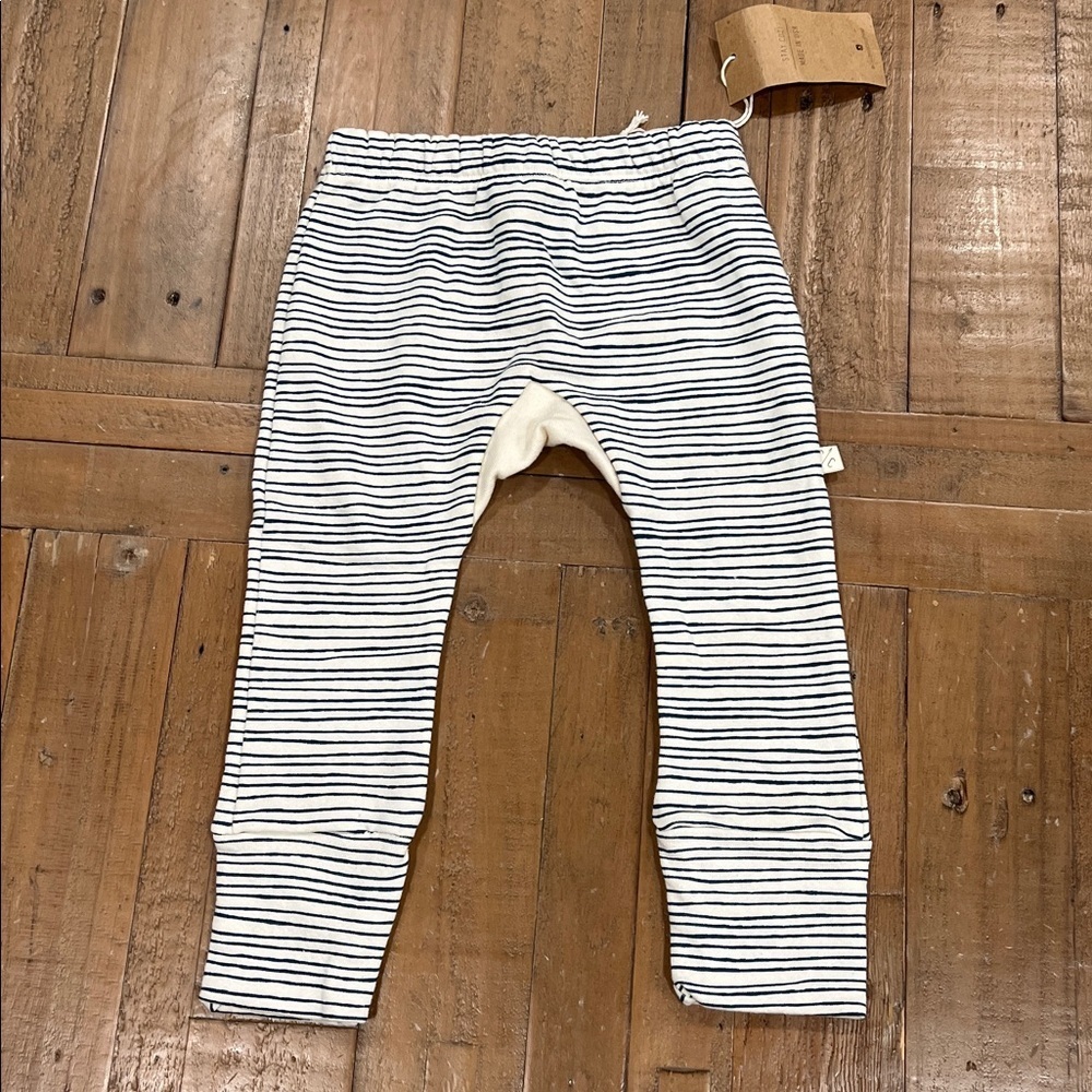 Childhoods Clothing Striped Gusset Pants Kids 2t Teal Green Pull On Joggers Nwt — image 6 of 6